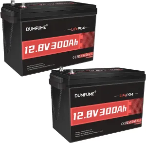12V 300Ah 2 Packs Lithium LiFePO4 Battery,200A BMS 3840W Rechargeable Lithium Iron Phosphate Battery 15000  Deep Cycles for Solar System,Backup Power,RV,Marine and Off-Grid