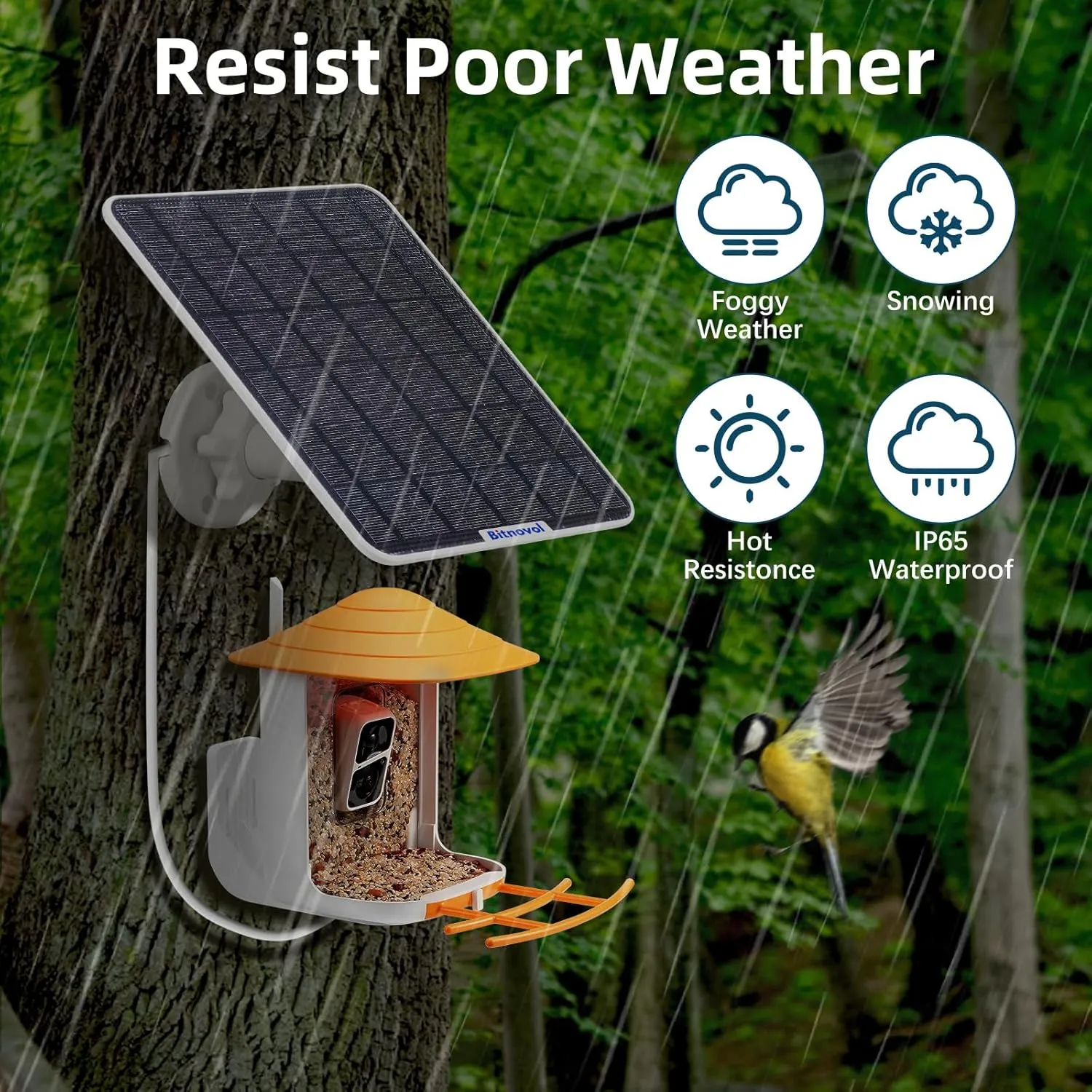 6W Solar Panel for Bird Feeder Camera - USB C Solar Panels Charger Match to Rechargeable Battary Powered Camera Outdoor Wireless, IP65 Ring Camera Solar with USB DC,9.8ft Cable 360° Swivel Bracket