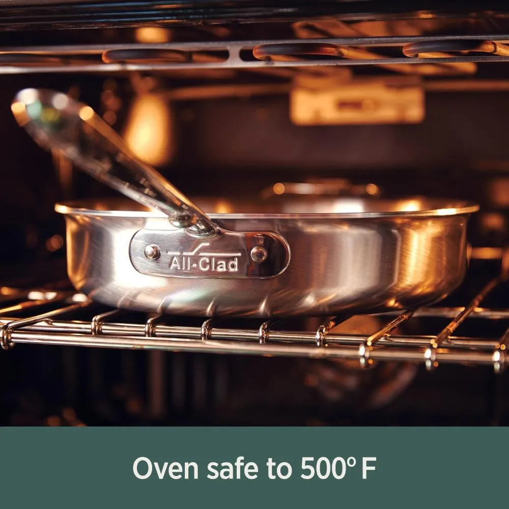 All-Clad D5 5-Ply Stainless Steel Nonstick Fry Pan 10 Inch Induction Oven Broiler Safe 500F Pots and Pans, Cookware Silver