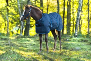 Amigo Ripstop 900D Foal Turnout 50g, Black