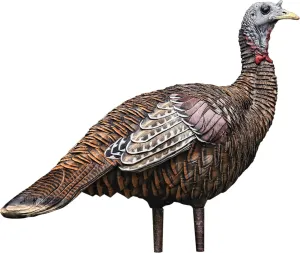 AVIAN-X LCD Lookout Hen Turkey Decoy | Durable Realistic Lifelike Collapsible Standing Hunting Decoy with Carry Bag & Stake, AVX8006