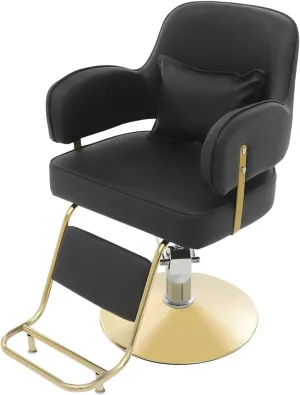 Barber Chairs for Barbershop, Hair Salon Chair with Foot Pedals Withstand 220.46 Pounds Can Rotate 360° High Density Sponge Pad Ergonomic Used for Beauty Salons, Nail Salons, Etc (Black)