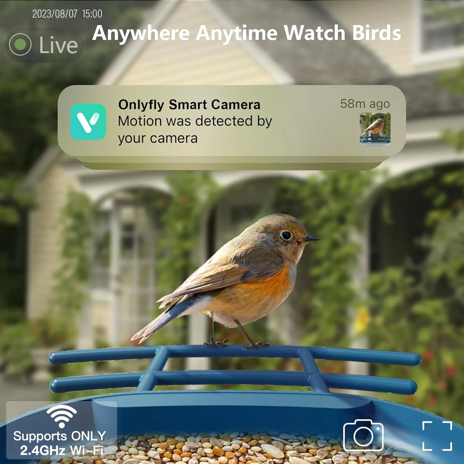 Bird Feeder with Camera Solar Powered : Smart Camera Bird Feeder 2K Live Feed Cam for Outdoor Backyard - AI Identify Auto Capture Videos Pictures, Gifts for Birdlover Mom Dad, 2.4GHz WiFi
