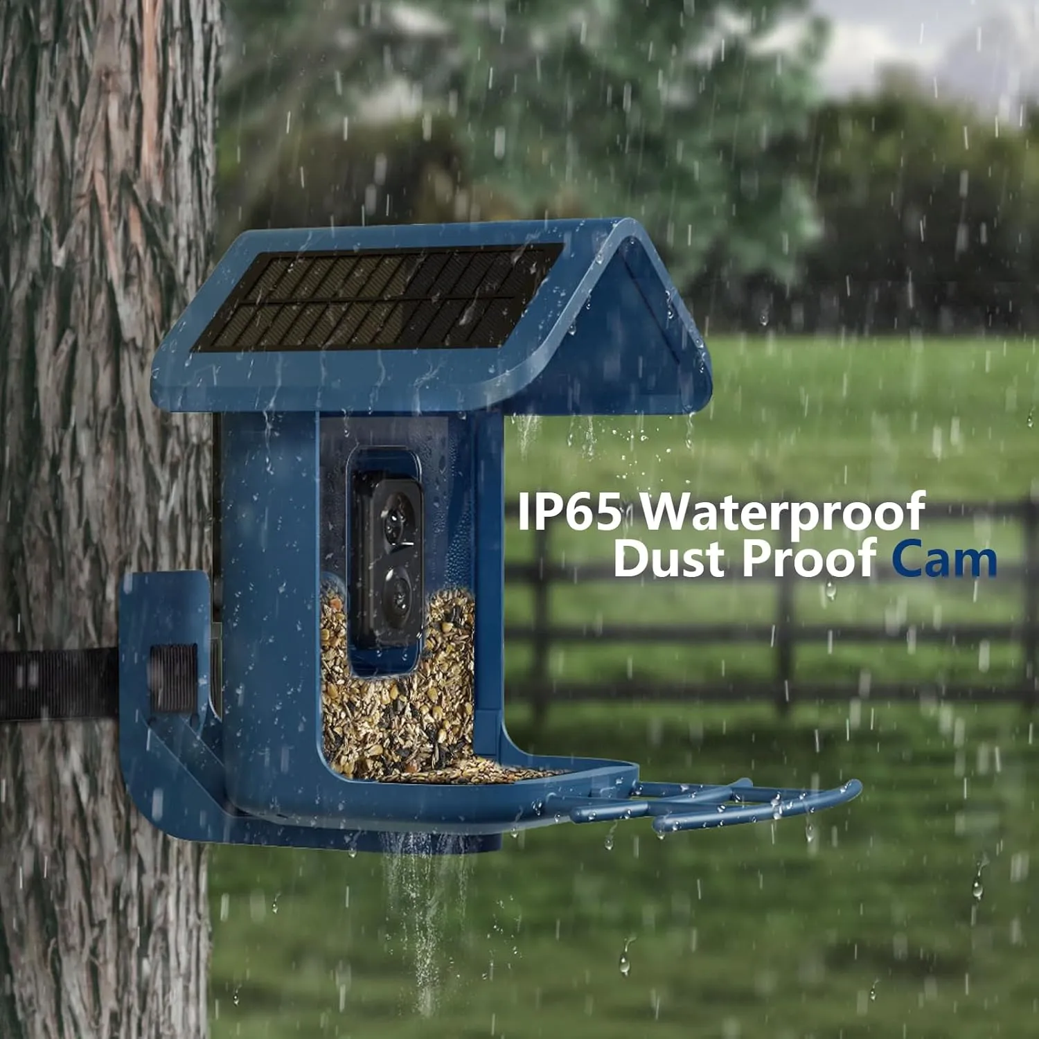Bird Feeder with Camera Solar Powered : Smart Camera Bird Feeder 2K Live Feed Cam for Outdoor Backyard - AI Identify Auto Capture Videos Pictures, Gifts for Birdlover Mom Dad, 2.4GHz WiFi