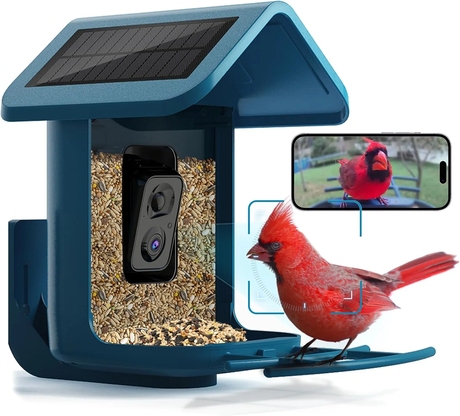 Bird Feeder with Camera Solar Powered : Smart Camera Bird Feeder 2K Live Feed Cam for Outdoor Backyard - AI Identify Auto Capture Videos Pictures, Gifts for Birdlover Mom Dad, 2.4GHz WiFi