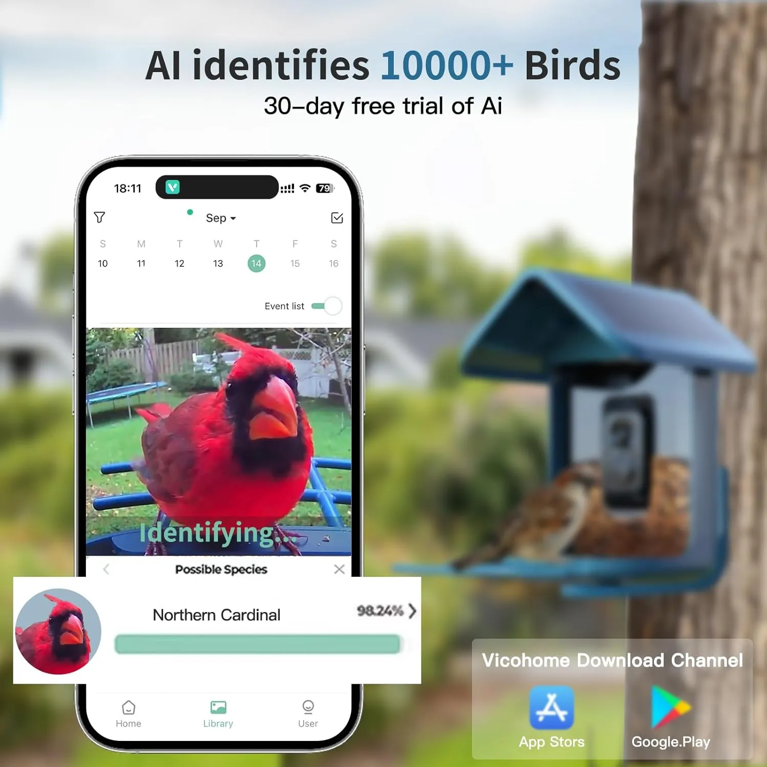 Bird Feeder with Camera Solar Powered : Smart Camera Bird Feeder 2K Live Feed Cam for Outdoor Backyard - AI Identify Auto Capture Videos Pictures, Gifts for Birdlover Mom Dad, 2.4GHz WiFi