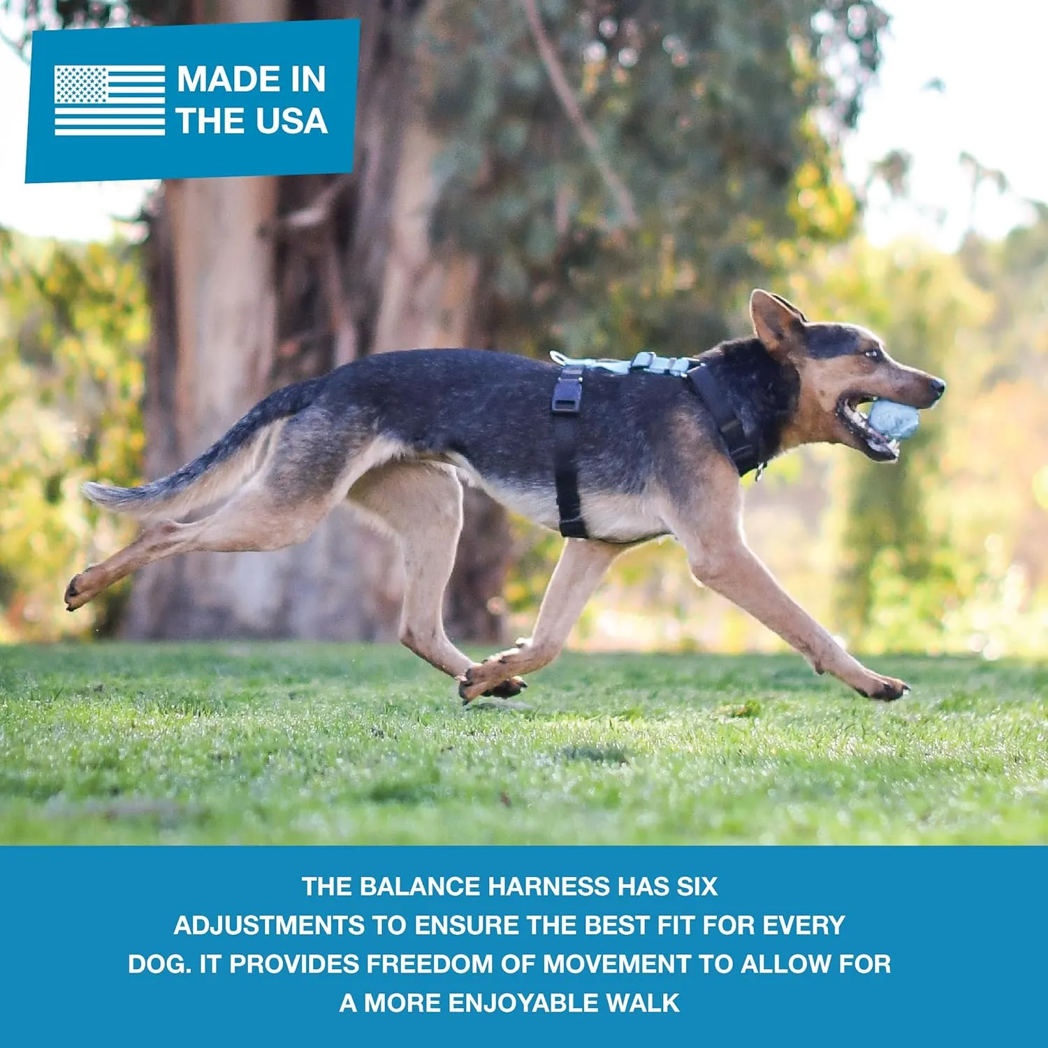 Blue-9 Pet Products No-Pull Balance Harness and Loose Leash Walking Set Dogs, Made in The USA, Black, X-Small
