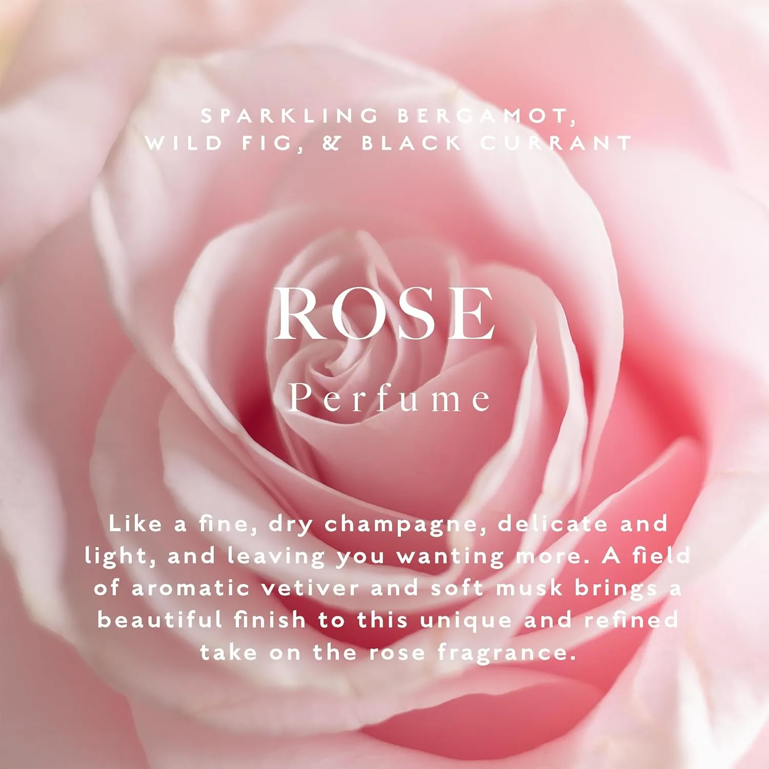 Caswell-Massey Rose Perfume, Classic Floral Scent, Luxurious & Long-Lasting Fragrance for Women, Full Size, Perfume for Women, 2 Fl Oz