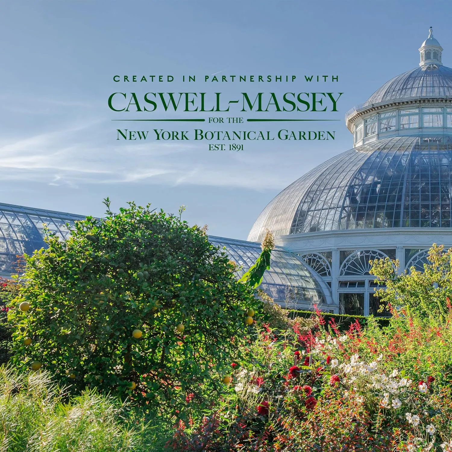 Caswell-Massey Rose Perfume, Classic Floral Scent, Luxurious & Long-Lasting Fragrance for Women, Full Size, Perfume for Women, 2 Fl Oz