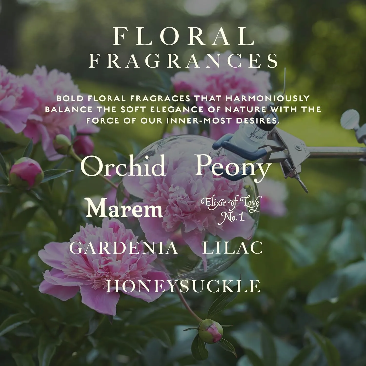 Caswell-Massey Rose Perfume, Classic Floral Scent, Luxurious & Long-Lasting Fragrance for Women, Full Size, Perfume for Women, 2 Fl Oz
