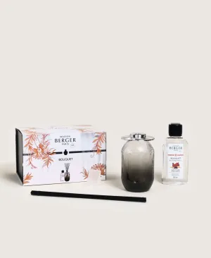 Evanescence Gray Reed Diffuser Mystic Leather - Maison Berger