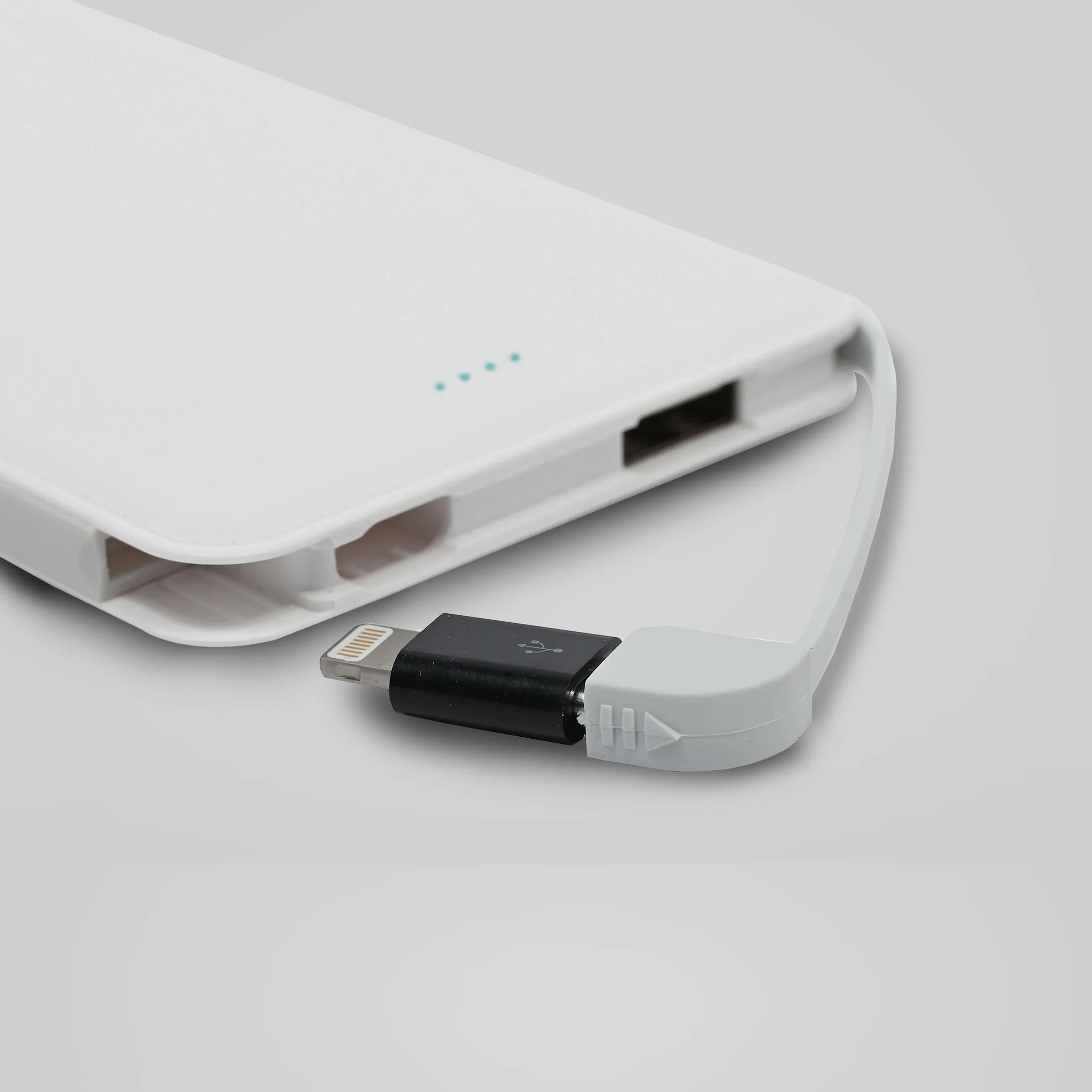 Leather finish 10000 mAh Power Bank