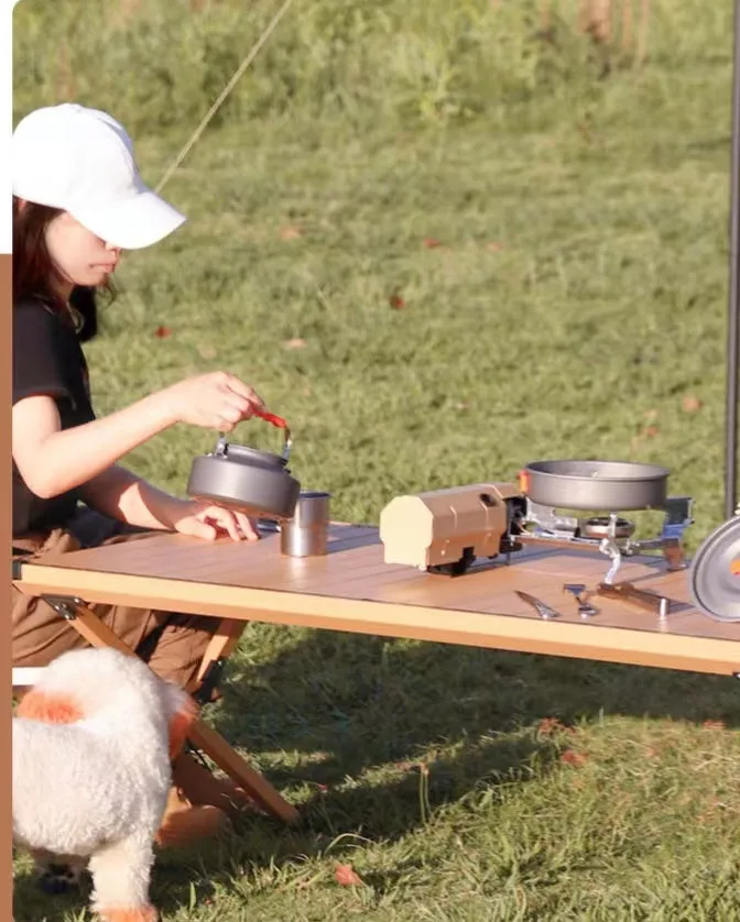 Outdoor Portable Folding Stove Camping Cookware