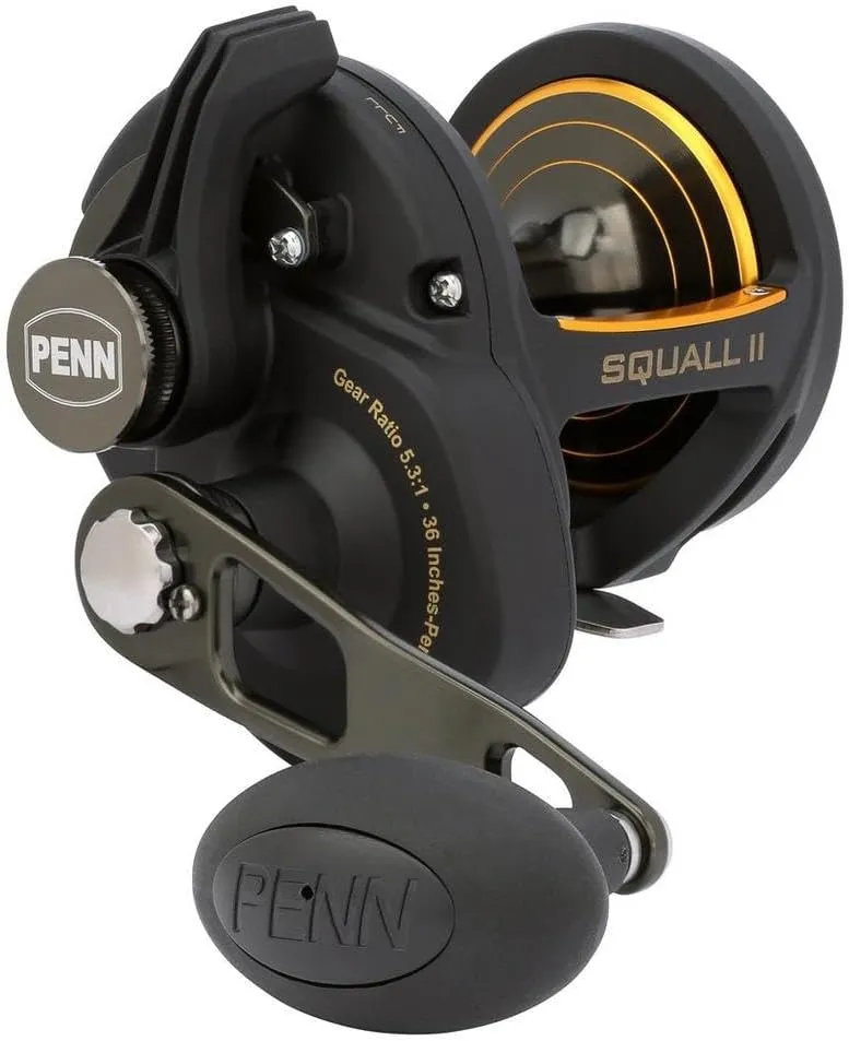 PENN Squall II Lever Drag Fishing Reel, Size 40, Graphite Body and Sideplates, Stainless Steel Main and Pinion Gears, Powerful PENN Dura-Drag