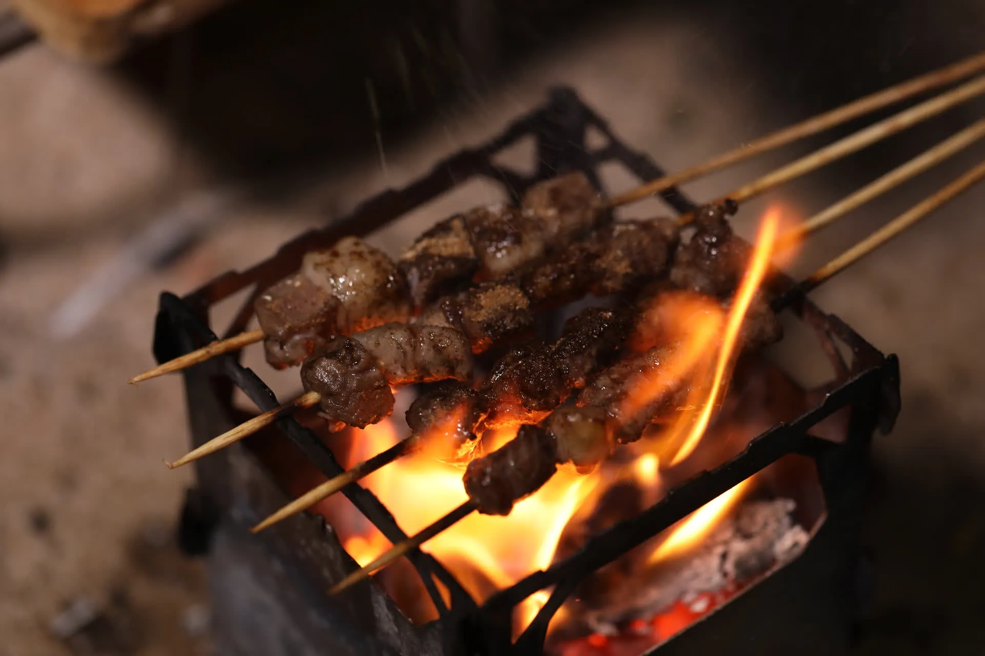 Réchaud à Bois et Grill en Titane