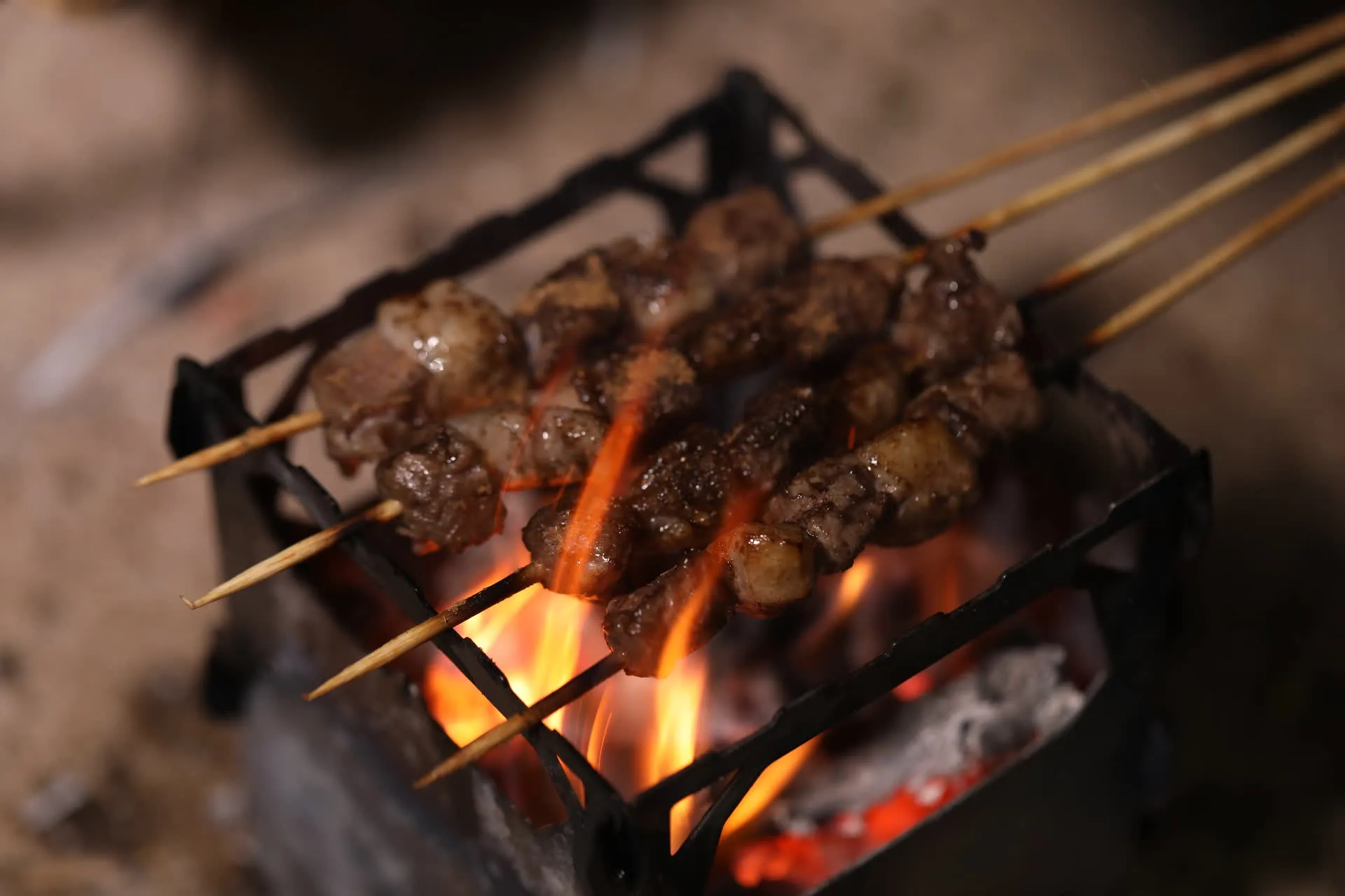 Réchaud à Bois et Grill en Titane