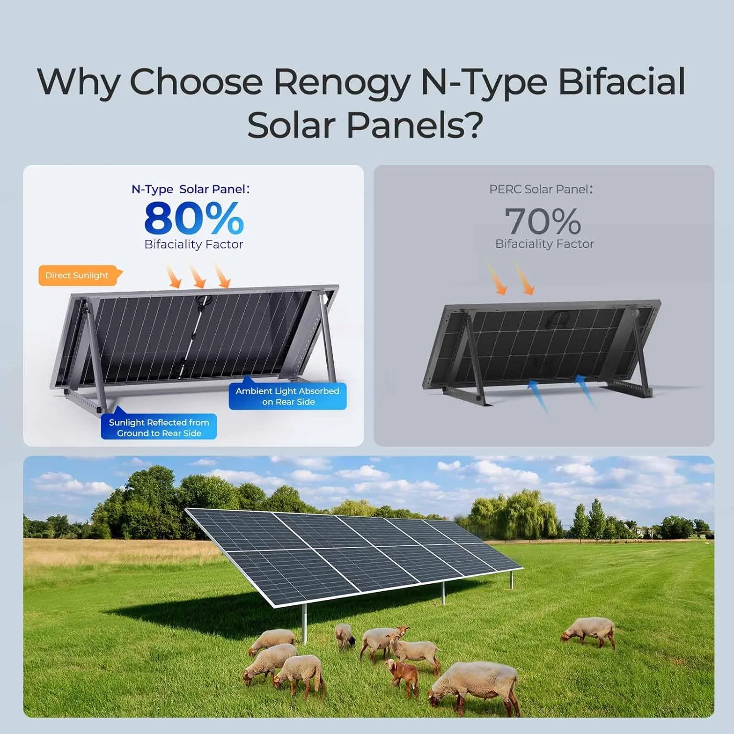 Renogy Bifacial 2Pcs 590 Watt N-Type Monocrystalline 12V 16BB Solar Panel,25% High Efficiency Solar Module for RV Home Farm Shed Trailer Camper Marine Off-Grid System