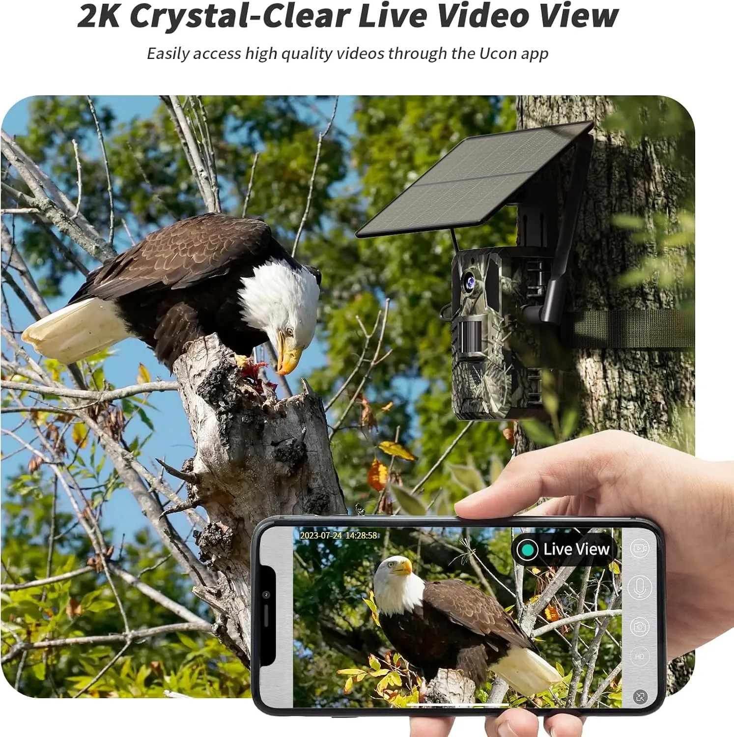 SEHMUA 4G LTE Cellular Trail Cameras 2 Pack,Live Streaming Game Camera Built-in SIM Card 0.2s Trigger Speed Motion Activated Solar Trail Camera with Night Vision IP66 Waterproof