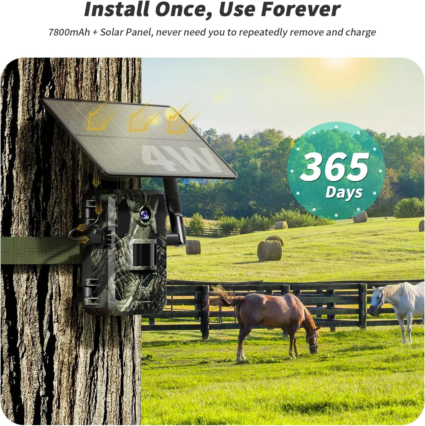 SEHMUA 4G LTE Cellular Trail Cameras 2 Pack,Live Streaming Game Camera Built-in SIM Card 0.2s Trigger Speed Motion Activated Solar Trail Camera with Night Vision IP66 Waterproof